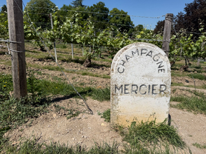 Couvreur Meyzieu